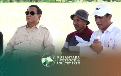 Dari Surplus Menjadi Peluang: NLP Expo 2025 Dorong Akselerasi Ekspor Telur Indonesia