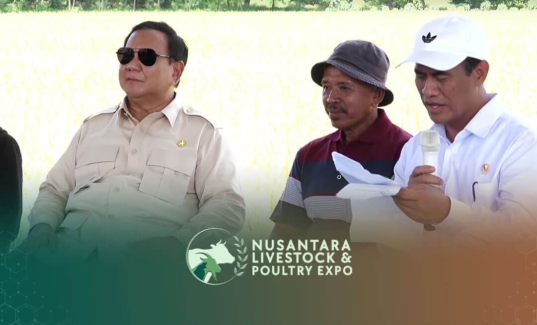 Dari Surplus Menjadi Peluang: NLP Expo 2025 Dorong Akselerasi Ekspor Telur Indonesia